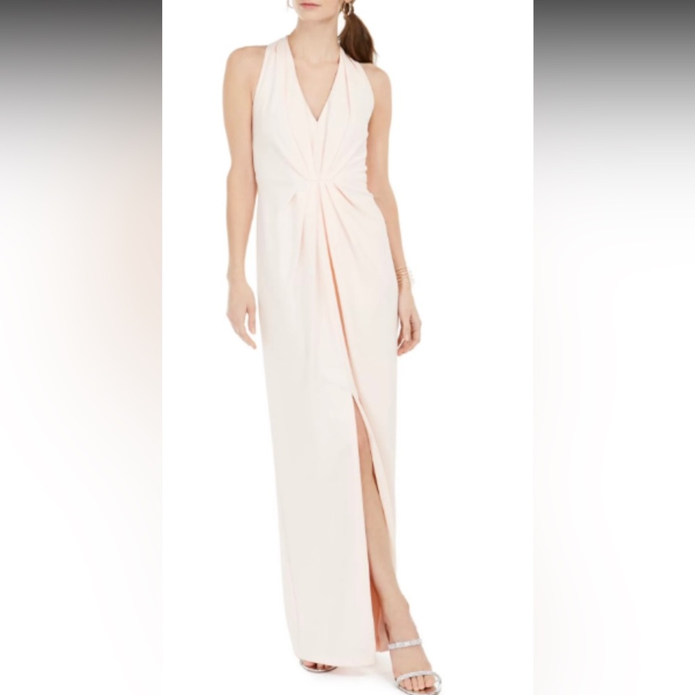 NWT Adrianna Papell Pleated Crepe Gown in Blush